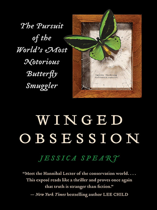 Cover image for Winged Obsession